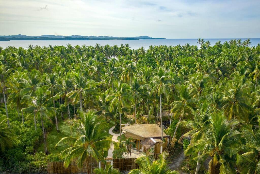 The Bamboo Houses - Tropical Garden & Empty Beach General Luna  Ngoại thất bức ảnh